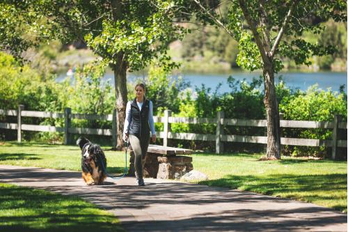 Correa con collar estrangular Just-a-Cinch™ Ruffwear mayor seguridad perro adiestramiento a perros que tiran mucho, ejemplo 2