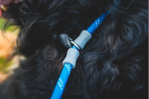 Correa con collar estrangular Just-a-Cinch™ Ruffwear mayor seguridad perro adiestramiento a perros que tiran mucho, ejemplo 5