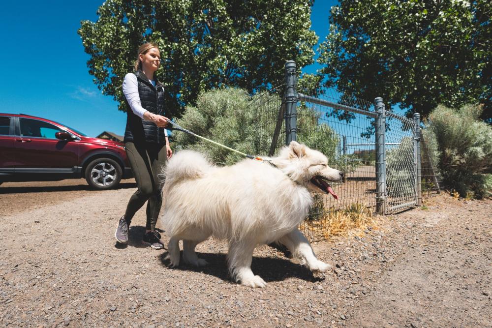 Ruffwear, resistente cuerda y mosquetón de duraluminio con cierre de seguridad, ejemplo 2