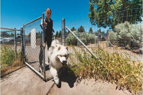 Ruffwear, resistente cuerda y mosquetón de duraluminio con cierre de seguridad, ejemplo 3