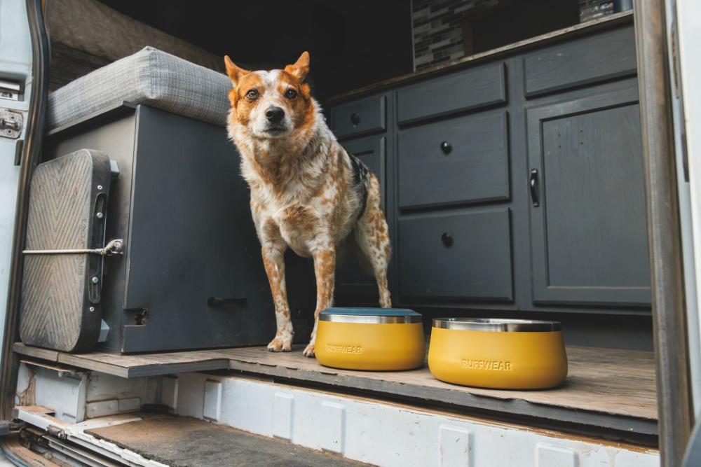 Bol Ruffwear Basecamp, ejemplo 2