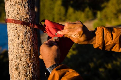 Knot-a-Hitch™ Ruffwear kit completo permite movimiento al perro, ejemplo 2