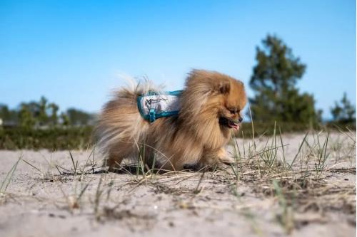 Chaleco capa enfriamiento Non-Stop Cooling Vest. Ejemplo 3