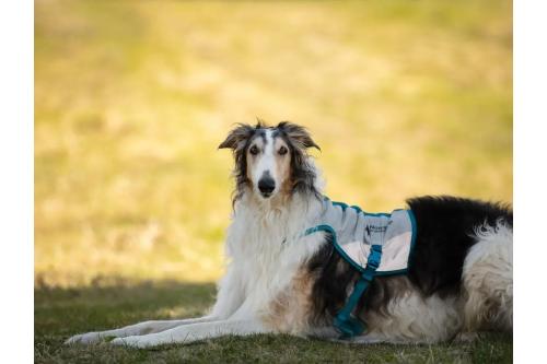 Chaleco capa enfriamiento Non-Stop Cooling Vest. Ejemplo 4