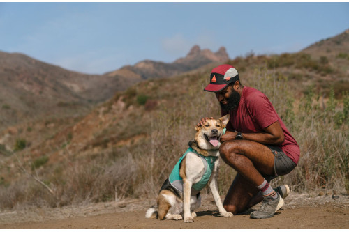 chaleco capa enfriamiento para perros Ruffwear Swamp Cooler Zip Salmon refleja rdiación sol con alta cubrición toma 12