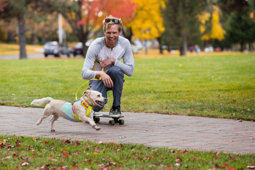 chaleco capa enfriamiento para perros Ruffwear Swamp Cooler Zip Salmon refleja rdiación sol con alta cubrición toma 8