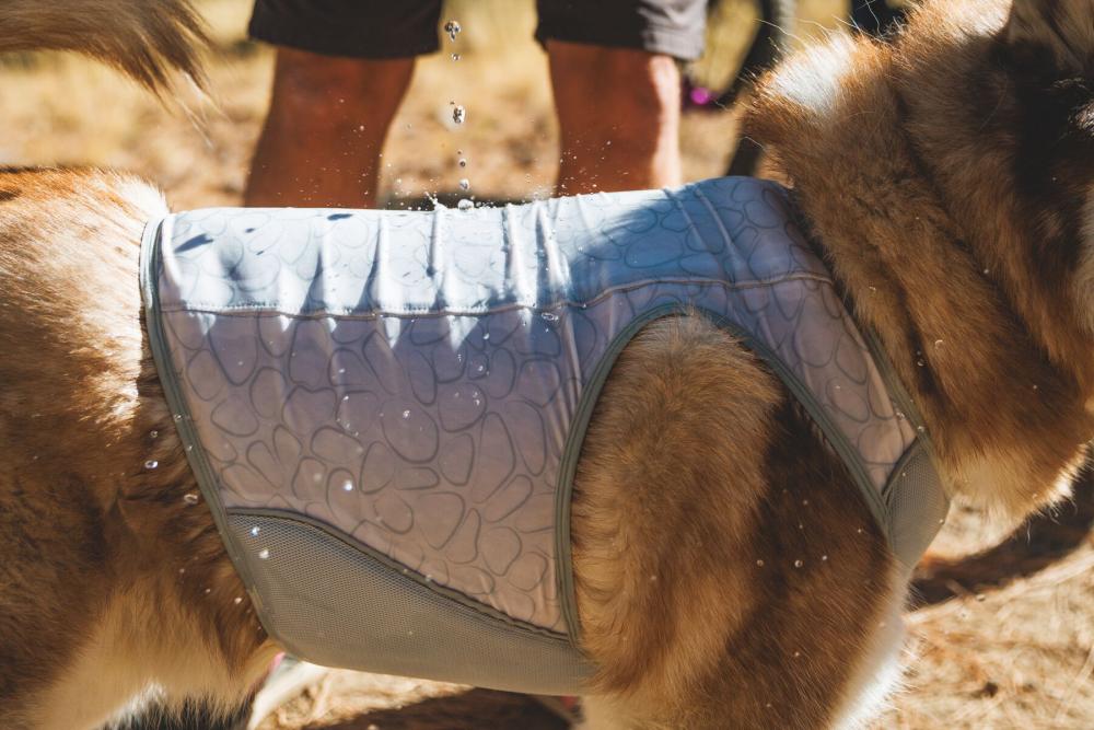 Chaleco enfriamiento Ruffwear SWAMP...