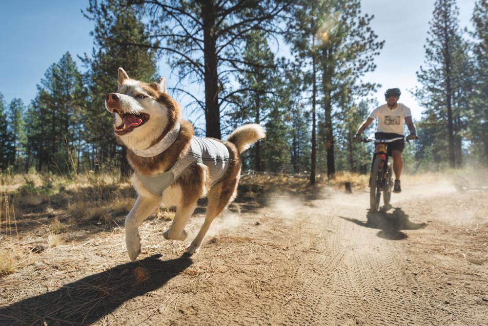 Chaleco enfriamiento Ruffwear SWAMP...