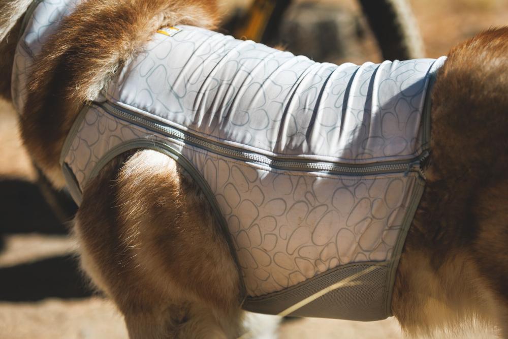 Chaleco enfriamiento Ruffwear SWAMP...