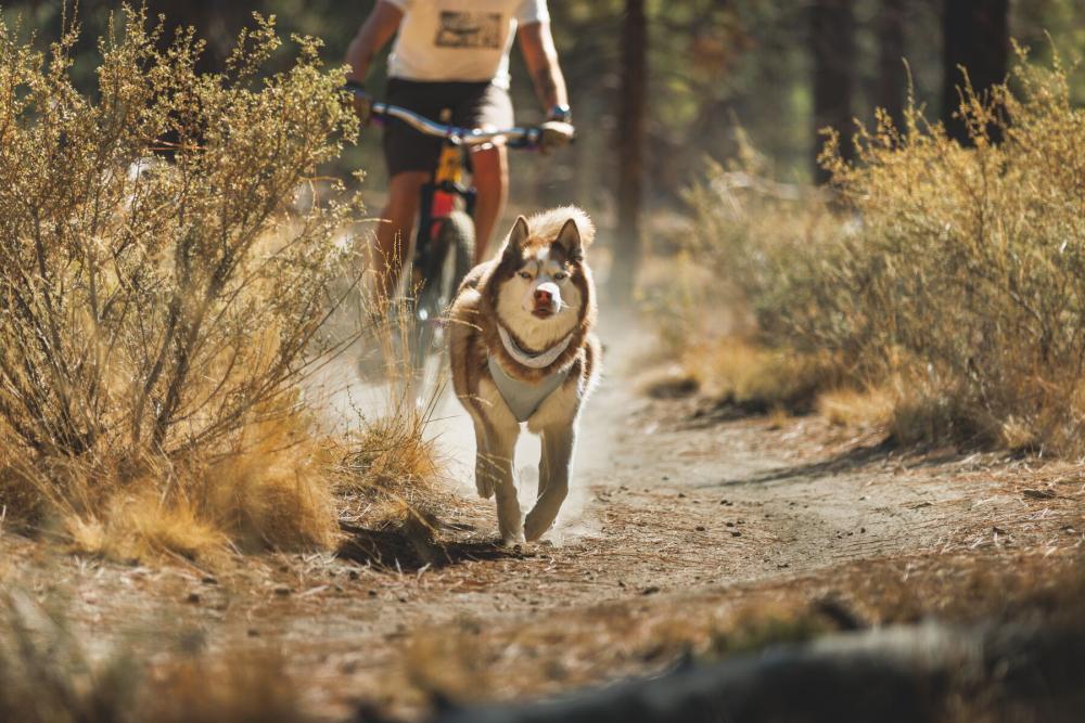 Collar polaina enfriamiento Ruffwear...