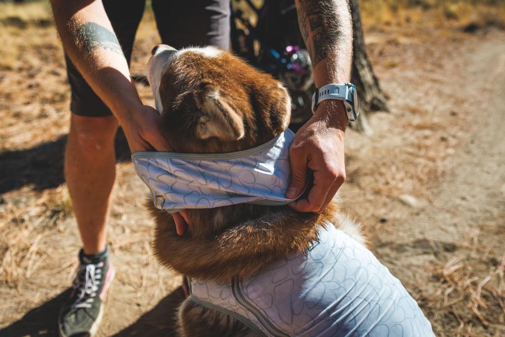 Collar polaina enfriamiento Ruffwear...