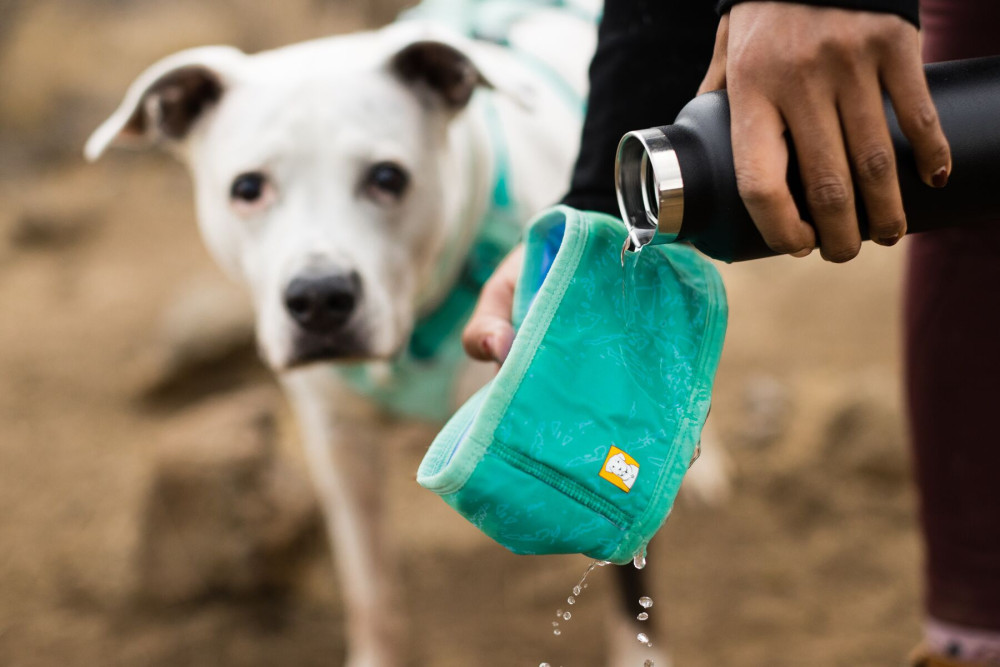 collar polaina Ruffwear Swamp Cooler™ Turquesa aporta al perro un enfriamiento por evaporación del agua toma 6