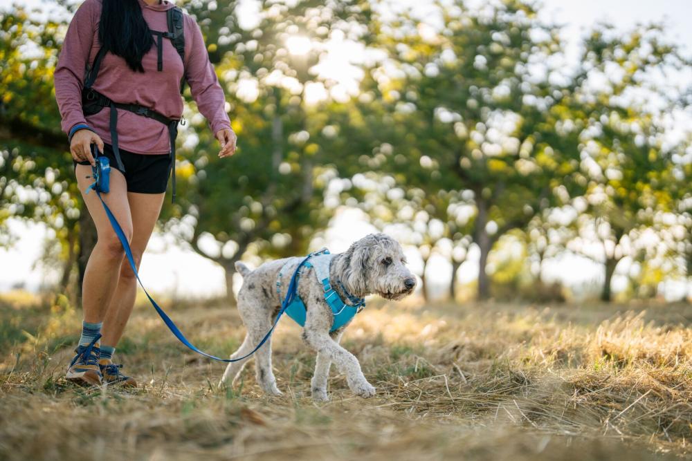 Arnés para perros Ruffwear Swamp Cooler™  enfriamiento por evaporación,