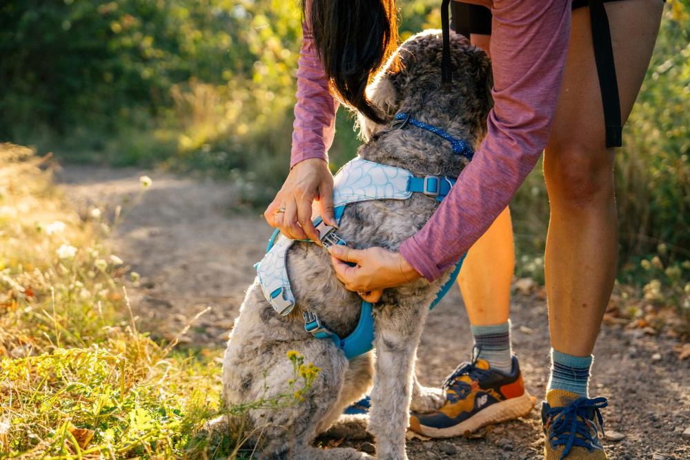 Arnés para perros Ruffwear Swamp Cooler™  enfriamiento por evaporación,