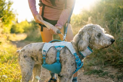 Arnés para perros Ruffwear Swamp Cooler™  enfriamiento por evaporación,