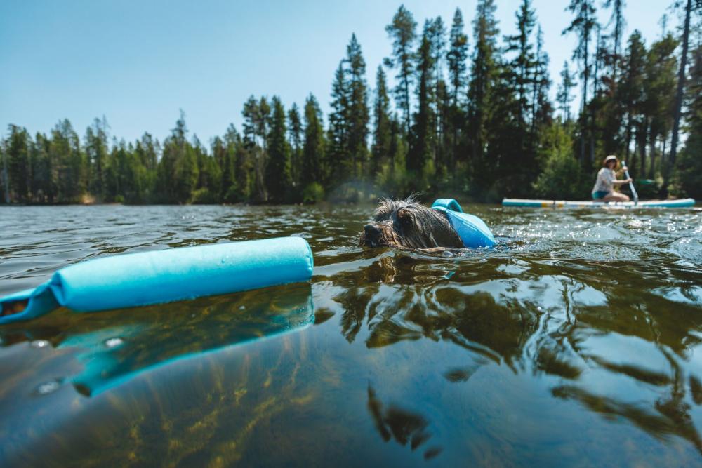 Chaleco salvavidas para perros Ruffwear Float Coat™ azul Deep.  Ejemplo 3