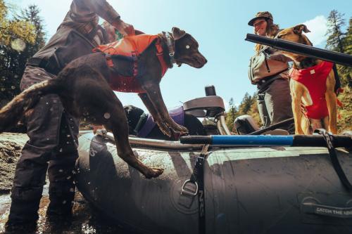 Chaleco salvavidas para perros Ruffwear Confluence™.  Ejemplo 3