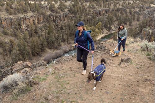 correa reflectante regulable  para perros Crag EX™ Ruffwear. ejemplo 5