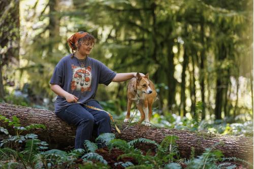 correa reflectante regulable  para perros Crag EX™ Ruffwear. ejemplo 3