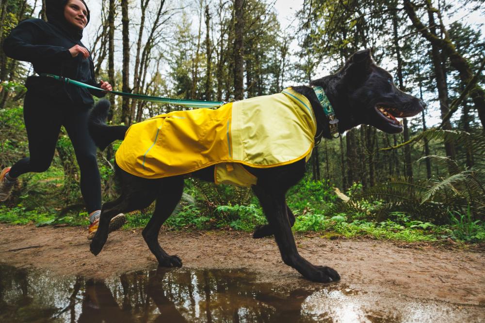 Chubasquero para perros Ruffwear SUN SHOWER™ Amarillo. Ultra protección a la lluvia. Ejemplo 1