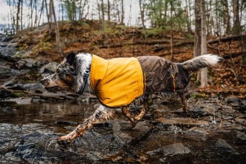 Chubasquero para perros Ruffwear SUN SHOWER™ Amarillo. Ultra protección a la lluvia. Ejemplo 3