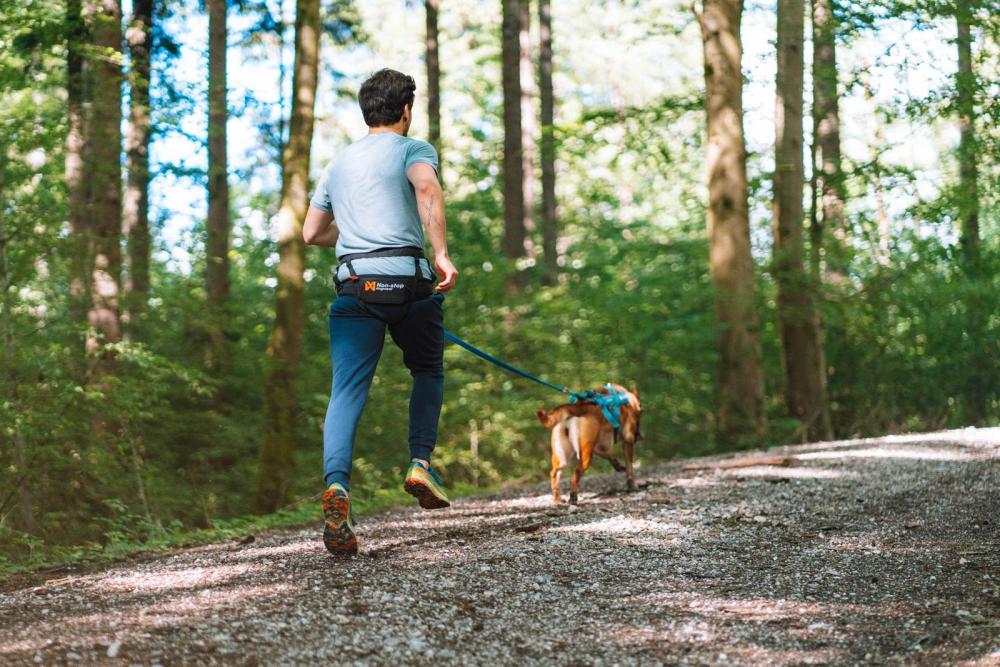 Cinturón para canicross CANIX BELT 2.0 Non-Stop, Escelente distribución de la fuerza del perro. Ejemplo 3