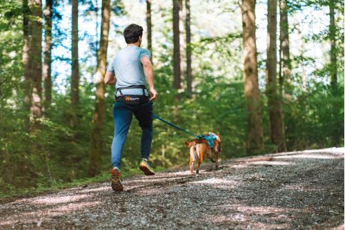 Cinturón para canicross CANIX BELT 2.0 Non-Stop, Escelente distribución de la fuerza del perro. Ejemplo 3