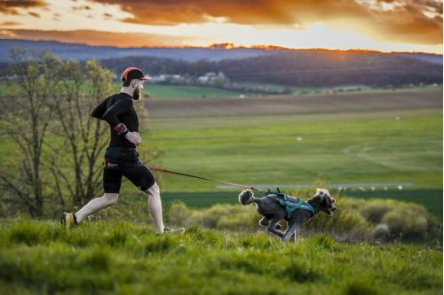 Cinturón para canicross CANIX BELT 2.0 Non-Stop, Escelente distribución de la fuerza del perro. Ejemplo 4
