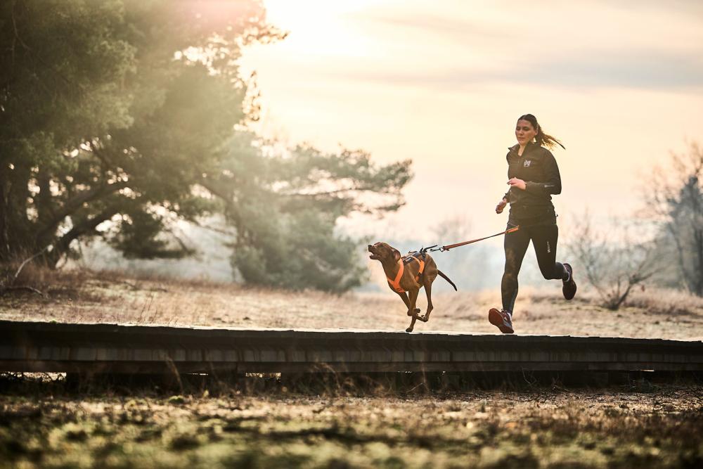 Cinturón Non-Stop CANIX BELT 2.0