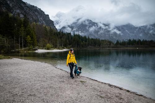 Chubasquero para perros Non-Stop Fjord 2.0, protección total a lluvia, viento, nieve… toma 6