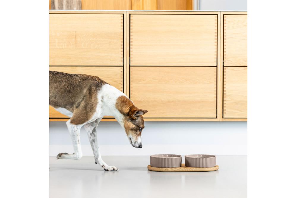 Comedero doble para perros Kronborg de DOG Copenhagen. Cerámica porcelana. Con perro 1