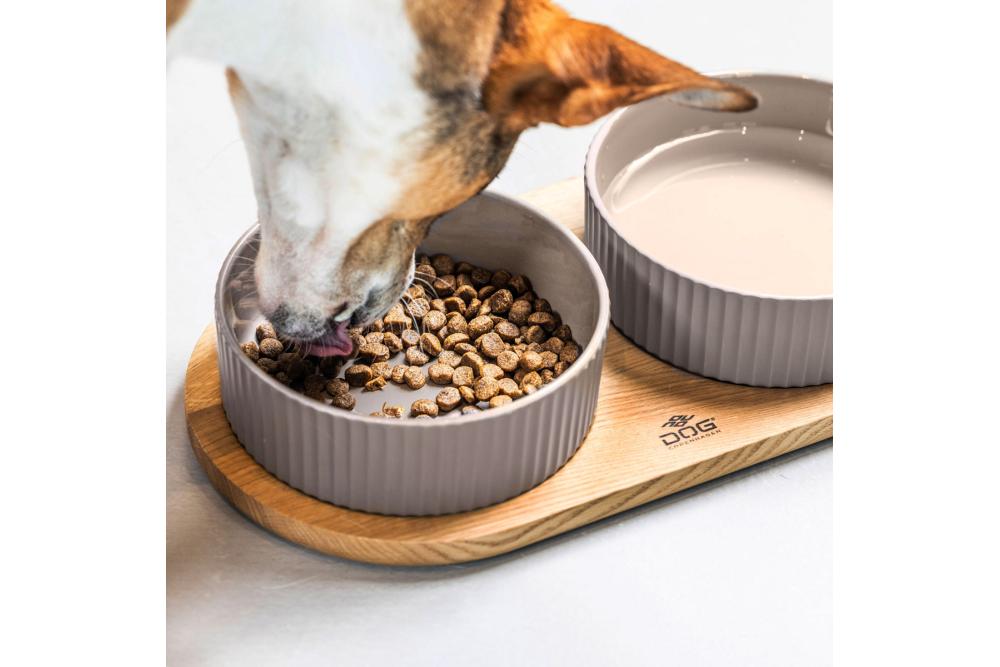 Comedero doble para perros Kronborg de DOG Copenhagen. Cerámica porcelana. Con perro 3