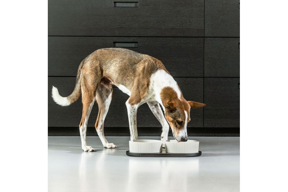 Comedero doble para perros Kronborg de DOG Copenhagen. Cerámica porcelana. Con perro 7