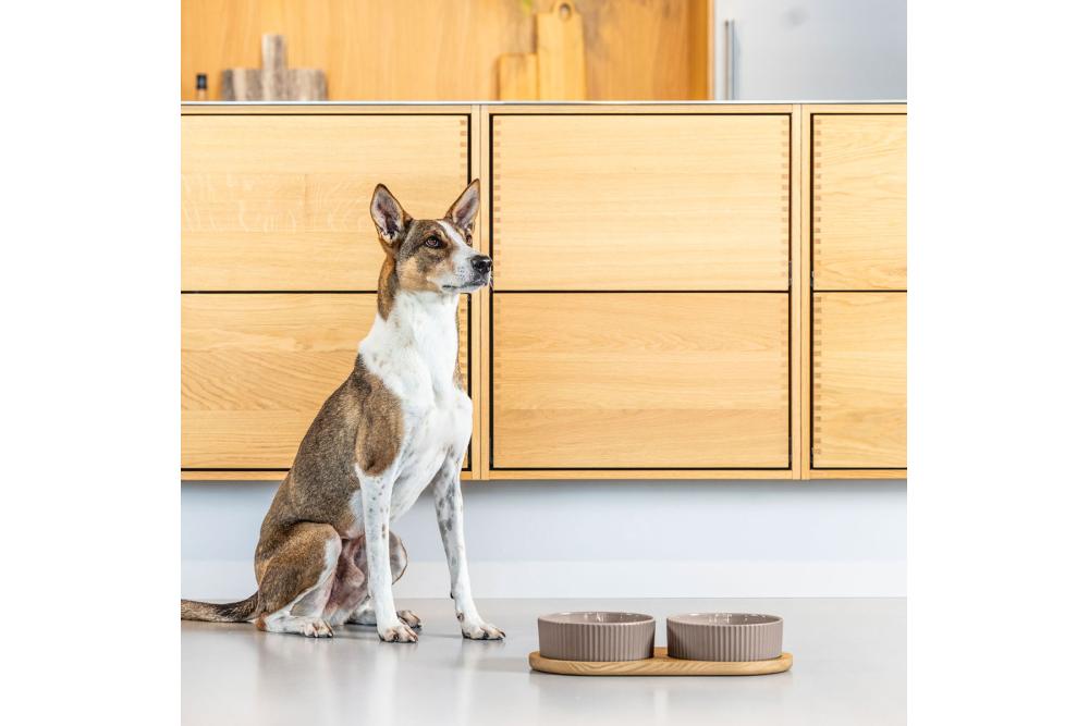 Comedero doble para perros Kronborg de DOG Copenhagen. Cerámica porcelana. Con perro 8