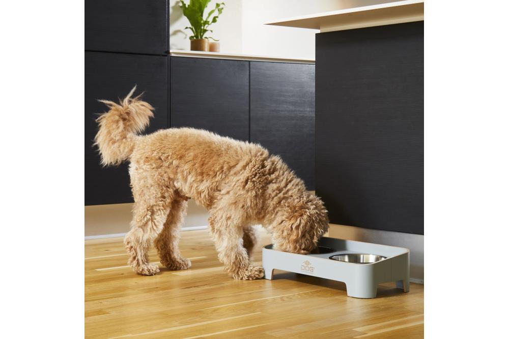 Comedero doble para perros Skagen de DOG Copenhagen. Con perro 2