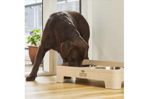 Comedero doble para perros Skagen de DOG Copenhagen. Con perro 3