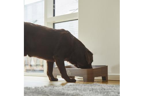 Comedero doble para perros Skagen de DOG Copenhagen. Con perro 8