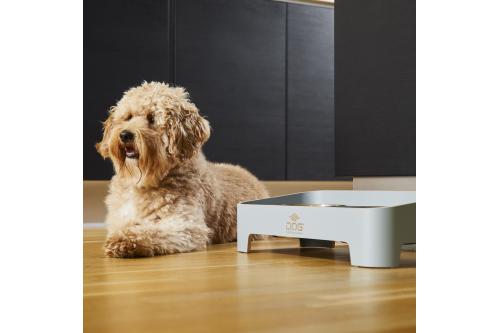 Comedero doble para perros Skagen de DOG Copenhagen. Con perro 7