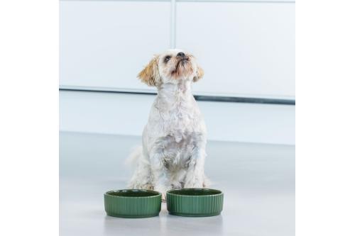 Bol cuenco para perros Kronborg de DOG Copenhagen. Cerámica porcelana. Con perro 3