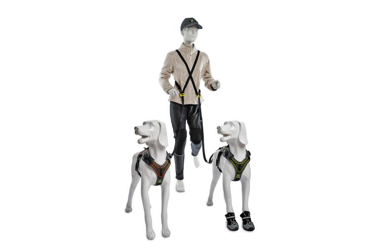 La correa para perros Jogging Leash™ II de Eqdog con elástico anti tirones.  imagen 1 2