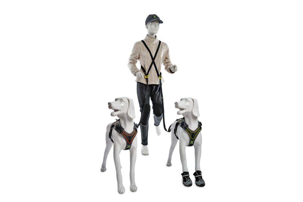 La correa para perros Jogging Leash™ II de Eqdog con elástico anti tirones.  imagen 2