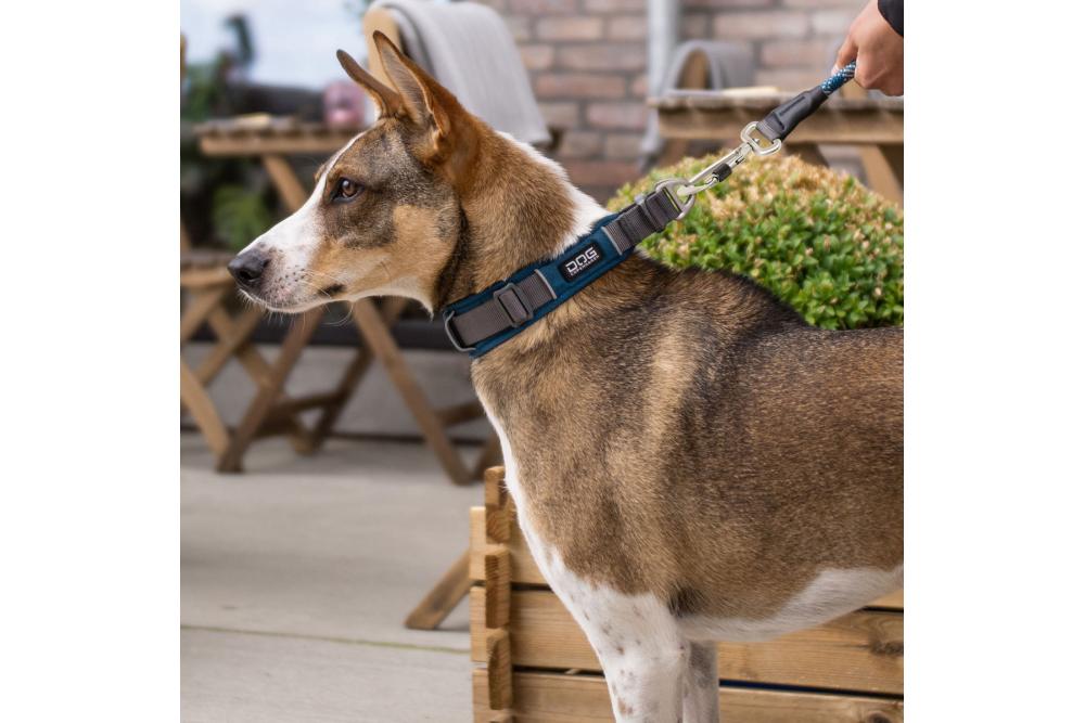 Collar DOG Copenhagen Urban Explorer™...