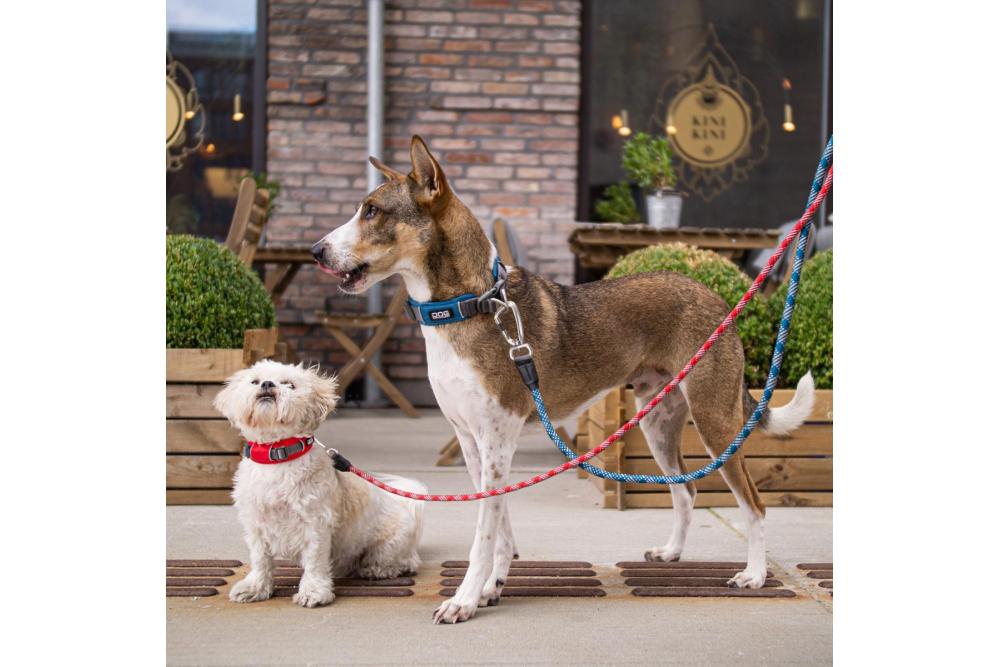 Collar DOG Copenhagen Urban Explorer™...