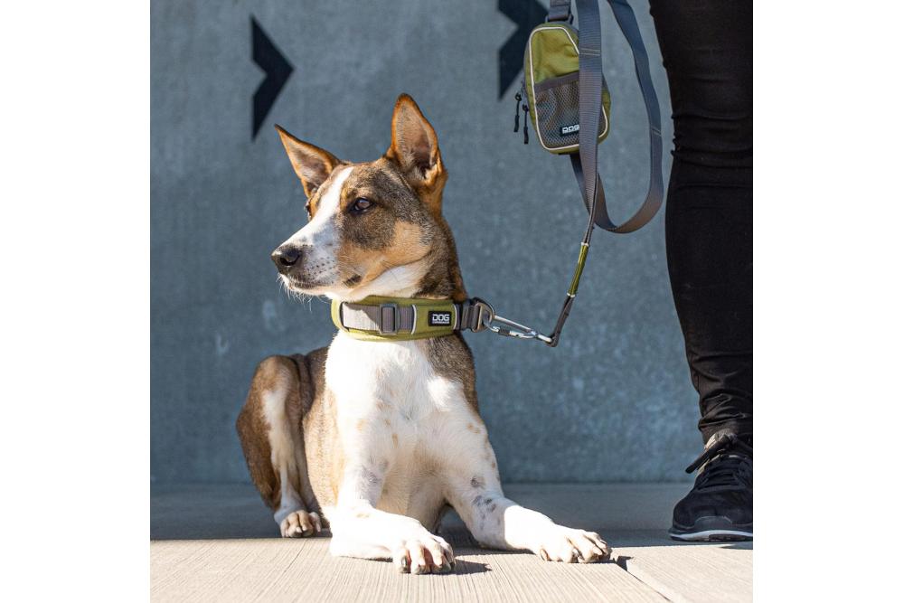 Collar DOG Copenhagen Urban Explorer™...