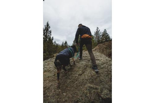 Riñonera para perros Home Trail™ de Ruffwear práctica para llevar accesorios, premios. Ejemplo 1