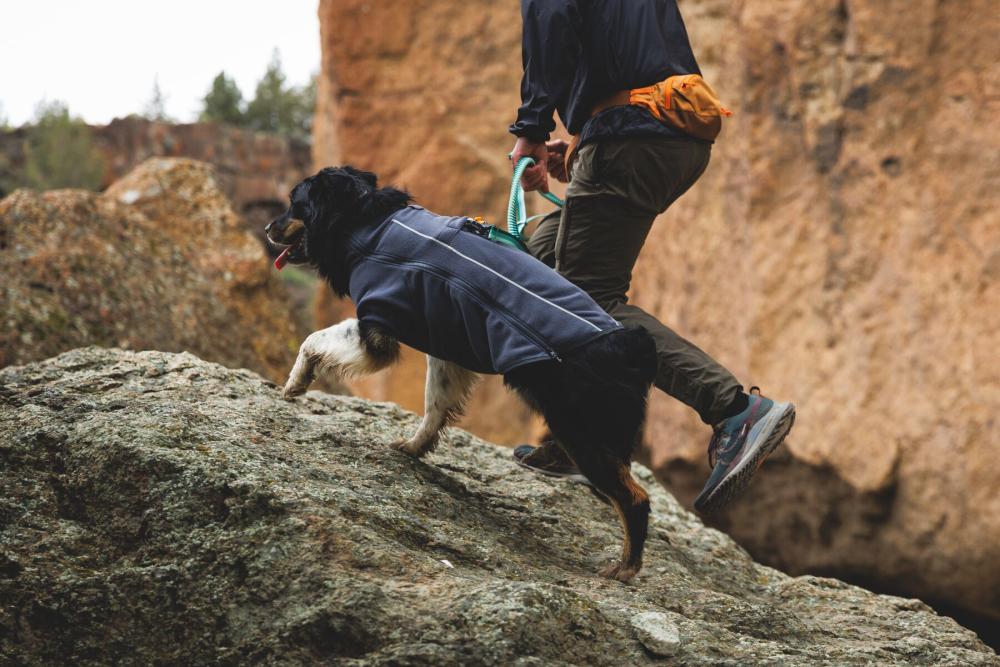 Riñonera para perros Home Trail™ de Ruffwear práctica para llevar accesorios, premios. Ejemplo 2