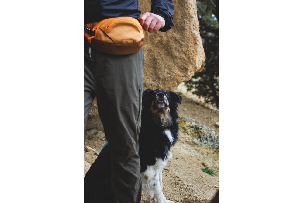 Riñonera para perros Home Trail™ de Ruffwear práctica para llevar accesorios, premios. Ejemplo 9