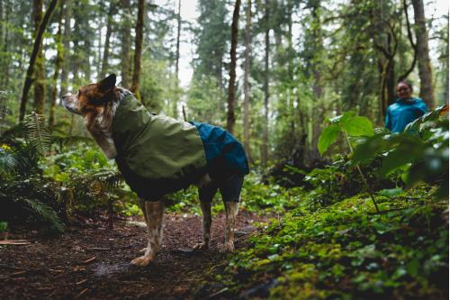 Chubasquero para perros Ruffwear SUN SHOWER™ COVERALL Amarillo. Imagen 9
