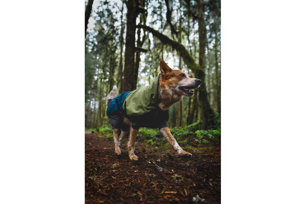 Chubasquero para perros Ruffwear SUN SHOWER™ COVERALL Amarillo. Imagen 8