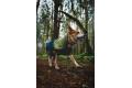 Chubasquero para perros Ruffwear SUN SHOWER™ COVERALL Amarillo. Imagen 8